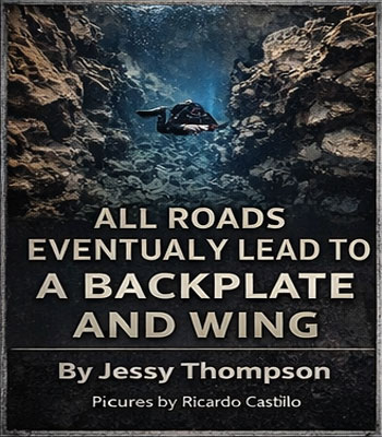 All roads lead to a back plate and wing