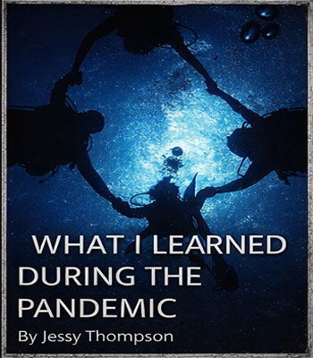 What I learned during the pandemic